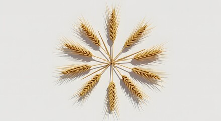 Obraz premium Wheat Sheaves Sunburst Design Minimalist White Background