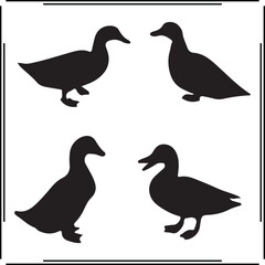 Standing Duck Silhouette Vector Set – Black Outline Ducks in Side and Front Views for Bird Icons, Wildlife Designs, Farm Graphics, Animal Illustrations, Nature Art, 