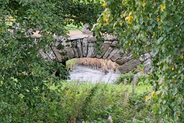 Old stone bridge Alvareds Bro in Skaraborg Sweden