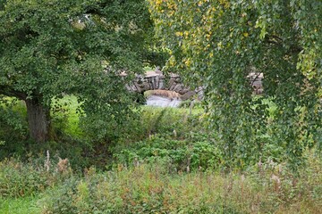 Old stone bridge Alvareds Bro in Skaraborg Sweden