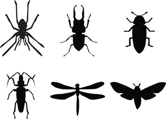 insect silhouette