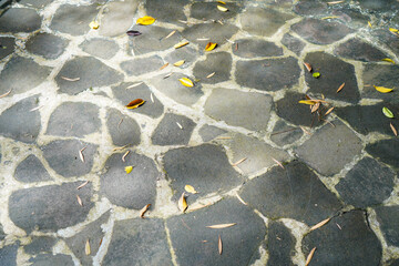 Irregular stone pavement with dry leaves in sunlight
