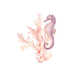 Seahorse and corals watercolor illustration in soft colors isolated from background. Underwater composition with animals perfect for nautical decor, packaging design, website or blog design.