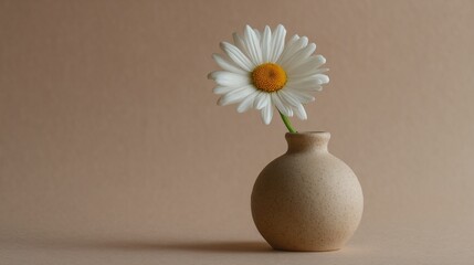 Single white daisy in matte ceramic vase, pale beige background, minimalist composition, soft lighting