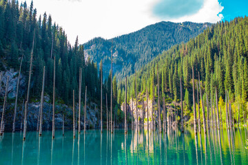 Sunken forest of Lake Kaindy in Kazakhstan. Beautiful mountain natural landscape. A blue lake with tree trunks sticking out of it. Panoramic view of the reserve.