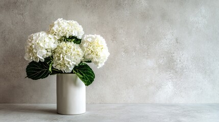 White hydrangeas in cylindrical vase, light grey wall, high-key minimalist photo
