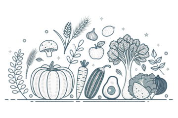 Horizontal background with with various vegetables. Line art vector monochrome illustratio