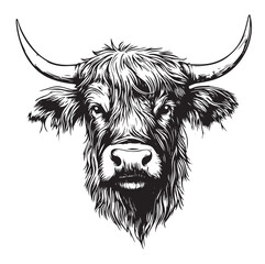vector illustration of a cow