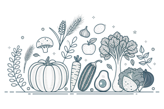 Horizontal background with with various vegetables. Line art vector monochrome illustratio