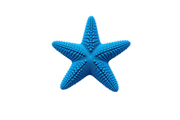 starfish isolated on white background