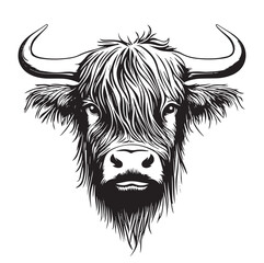 portrait of a cow in a white background