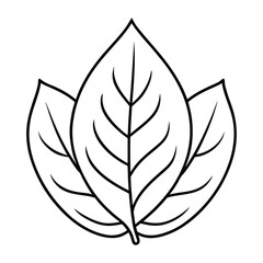 Obraz premium rose leaf svg