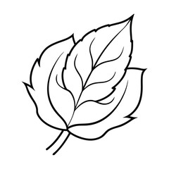 Fototapeta premium rose leaf svg