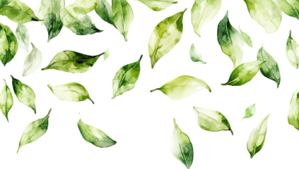 Watercolor painting of numerous green leaves falling on a black background, exhibiting varying shades and sizes, suggesting a sense of movement and lightness