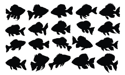 Fish silhouette set vector design big pack of fish illustration and icon