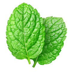 Obraz premium Mint isolated on white background with clipping path