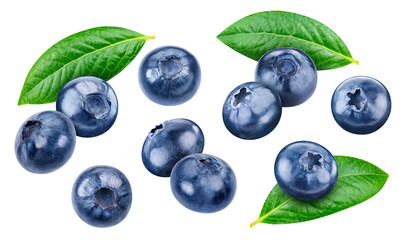 Flying blueberry isolated on white background