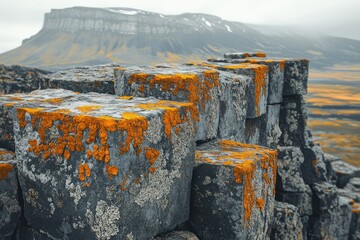 Lichen-covered basalt columns stand atop a cliff overlooking a vast, misty landscape.