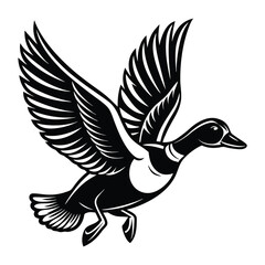 Obraz premium Flying duck svg