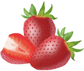 Strawberry  vector art illustration style. Illustration in design. Hand drawn  Strawberry . drawing Strawberry.