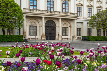 Tulips blooming in front of the baroque style Bishop's Palace entrance in Szombathely, Hungary

