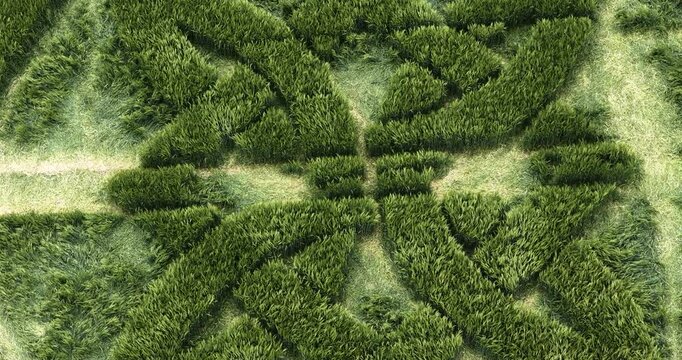 Aerial view rotating over Wiltshire Celtic knot crop circle 2025 barley field pattern gently swaying