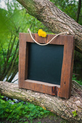 Rustic wooden empty chalkboard leans on tree branches