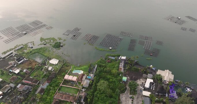 High Angle 4K drone shot at sunrise over Lake Danau Batur in Kintamani of traditional lake farming along the shore. Balinese rural life from above.