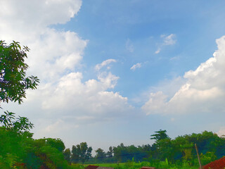 Trees with white clouds and blue sky background, perfect for background or wallpaper for nature theme