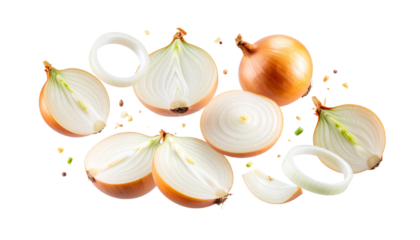 Fresh organic white onion and healthy garlic. Natural ingredients for cooking on white background.
