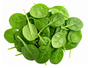 Fototapeta premium Spinach on transparent white background