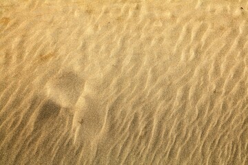Sand desert texture