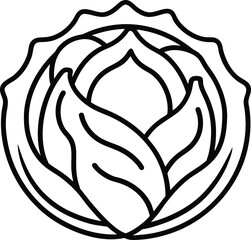 cabbage vector icon on transparent background 