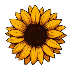 Vibrant Sunflower Illustration A Detailed Botanical Artwork