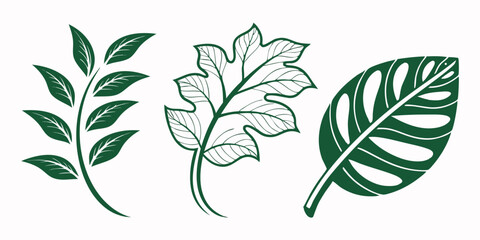 Fototapeta premium Set of Green Leaf Icons – Eco-Friendly Leaf Logos on White Background Vector