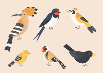Cute illustrations of swallow, bluebird, hoopoe, goldfinch, blackbird and canary. Vector set of cartoon birds on beige background.