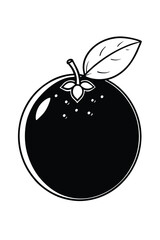 blueberry on white-background