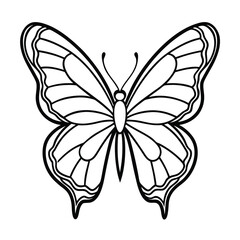 butterfly drawing art vector
