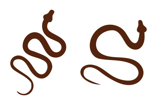 Black silhouette of a coiled snake with an upright head and curved tail, symbolizing danger and venomous creatures. snake icon vector glyph style design. Snake , logo. Snake icons set in black fiiled.