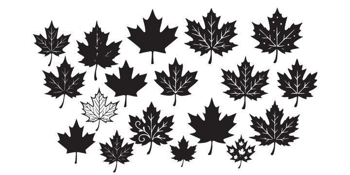 maple leaves silhouette set vector illustration