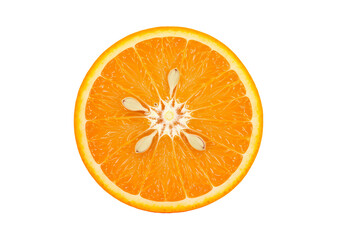 Cross Section of an Orange