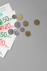 Israel currency 100 and 50 New Israeli shekel (NIS) banknotes alongside agorot coins, on grey background, concept of inflation, economic crisis, rising prices, and financial management.