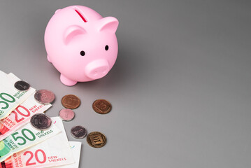Israel currency New Israeli shekel (NIS) banknotes and agorot coins and a piggy bank, concept of saving money, inflation, economic crisis, rising prices, and financial management.