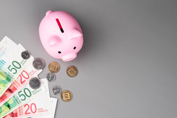 Israel currency New Israeli shekel (NIS) banknotes and agorot coins and a piggy bank, concept of saving money, inflation, economic crisis, rising prices, and financial management.