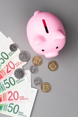 Israel currency New Israeli shekel (NIS) banknotes and agorot coins and a piggy bank, concept of saving money, inflation, economic crisis, rising prices, and financial management.
