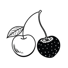 hand drawn cherry berry