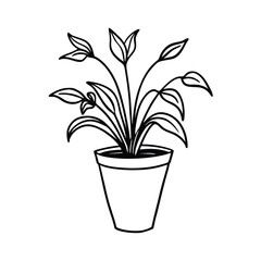 hand drawn flower plant with pot