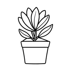 hand drawn flower plant with pot