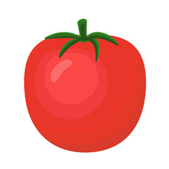 Red tomato isolated on white background. Flat style icon
