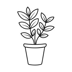 hand drawn flower plant with pot